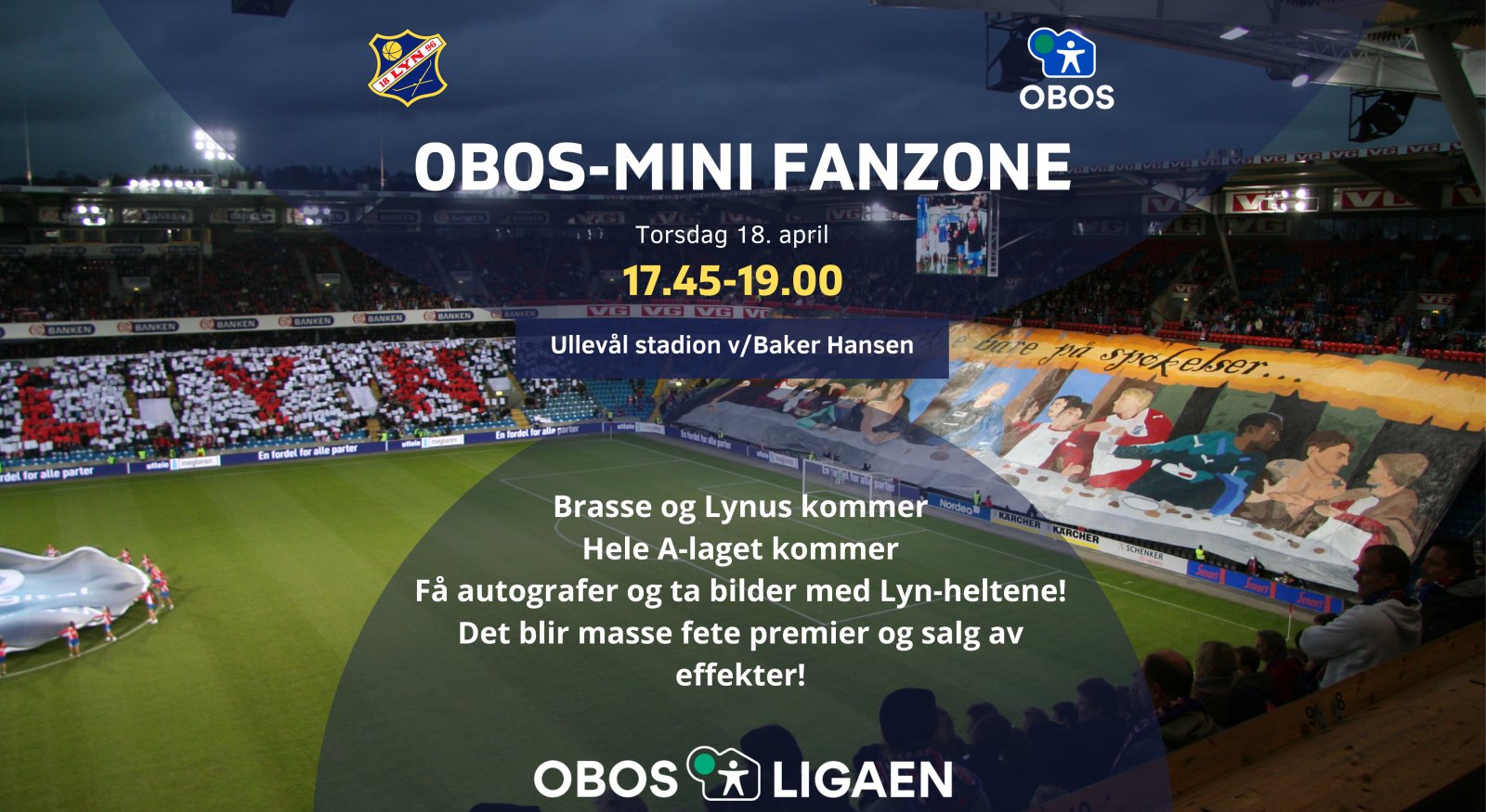 Mini fanzone (1160 x 635 mm)